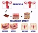 Laser Technology for Clinics